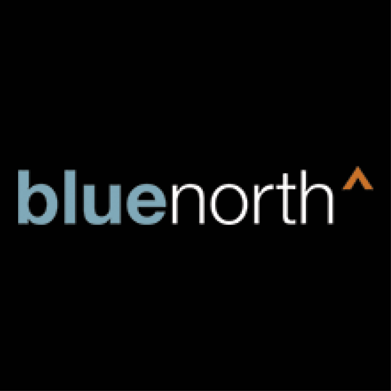 Blue North logo
