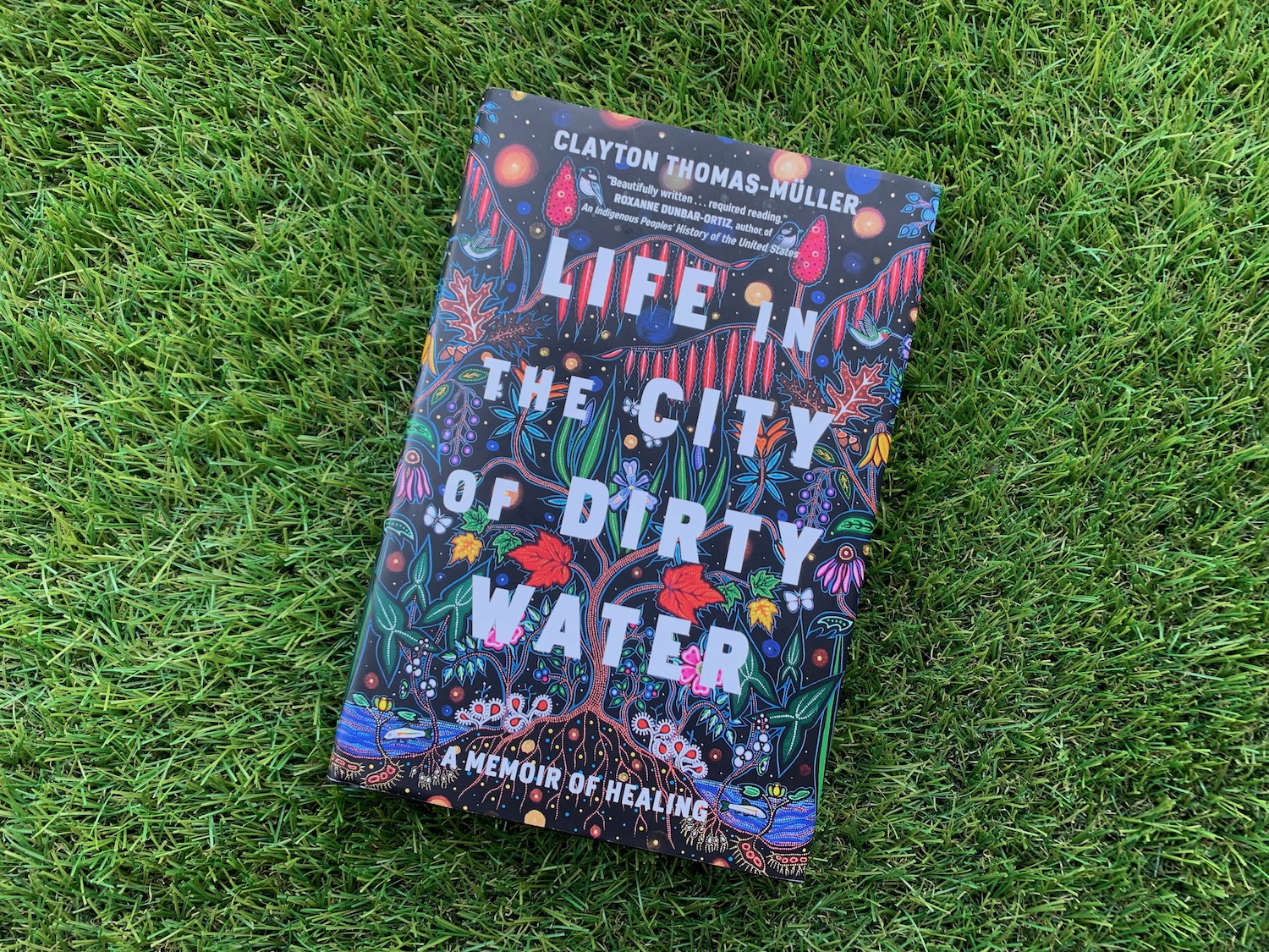 The book "Life in the City of Dirty Water" sits on top of a grass-looking rug.